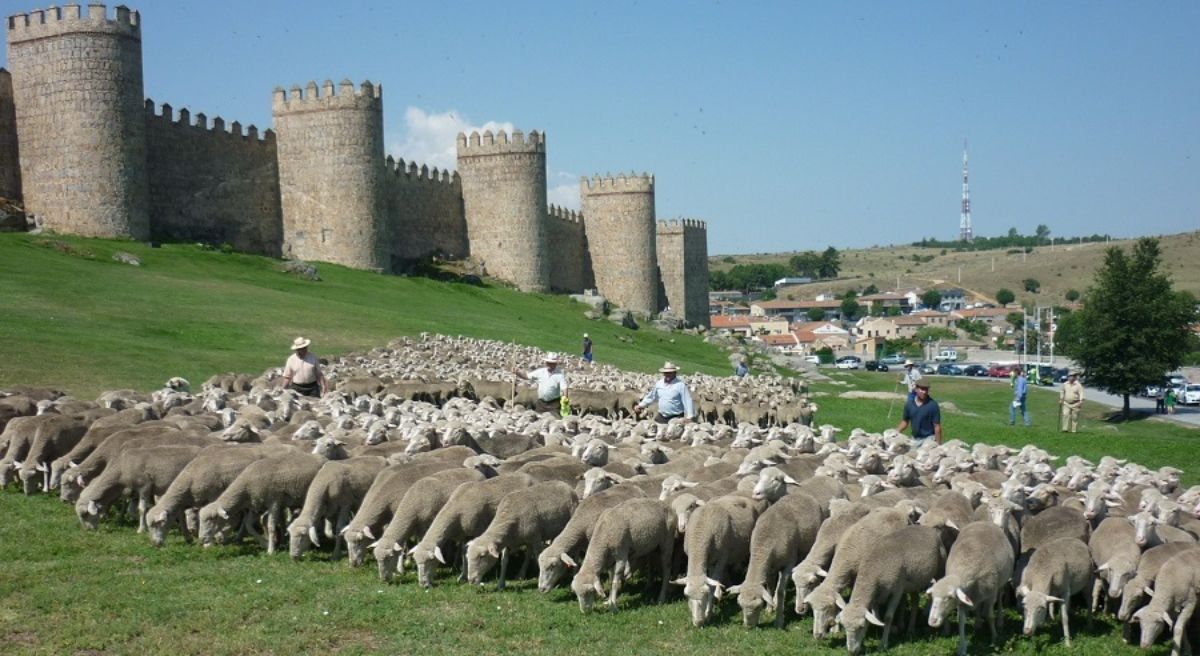 Trashumancia 